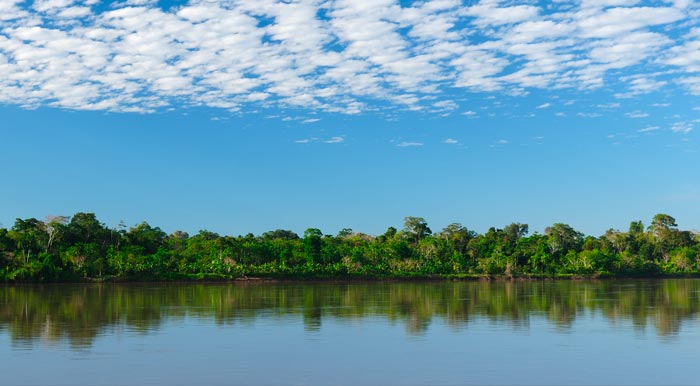 A bright blue, partly-cloudy sky overlooking jungle greenery and a river in the Amazon Rainforest.